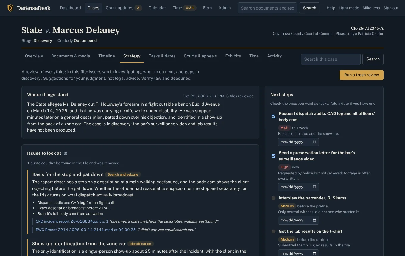 A strategy review listing issues, each with quotes from the case file